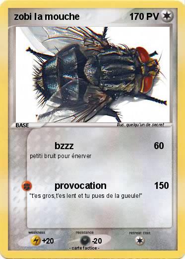 Pokemon zobi la mouche