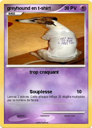 Pokemon greyhound en t-shirt