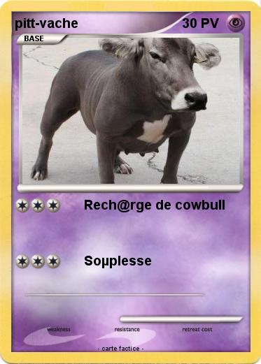 Pokemon pitt-vache