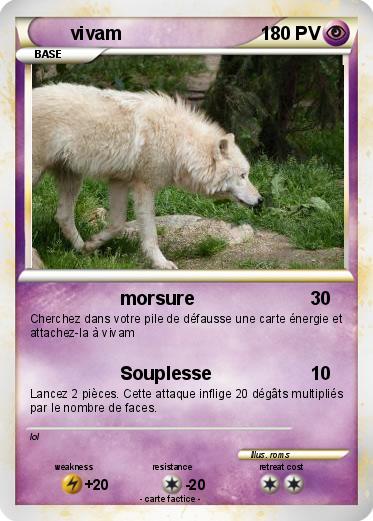 Pokemon vivam