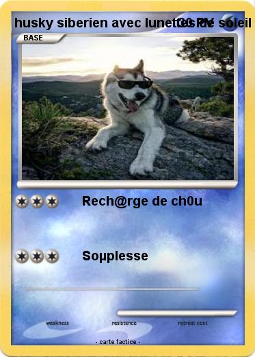 Pokemon husky siberien avec lunettes de soleil