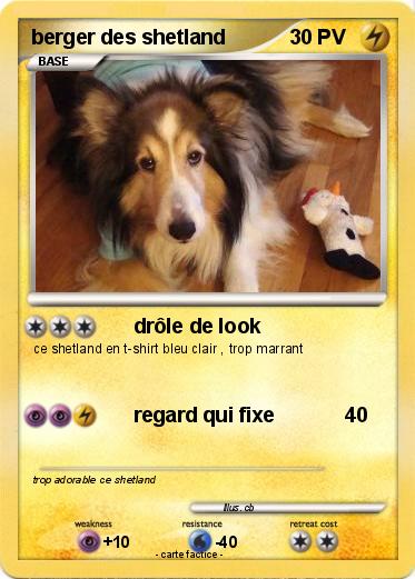 Pokemon berger des shetland