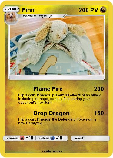 Pokemon Finn