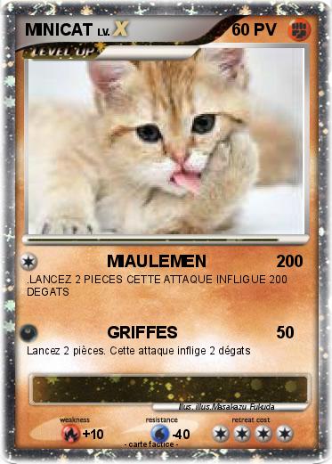 Pokemon MINICAT