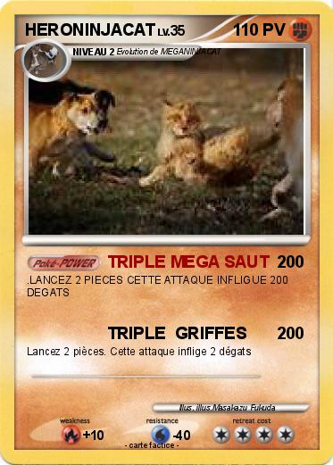Pokemon HERONINJACAT