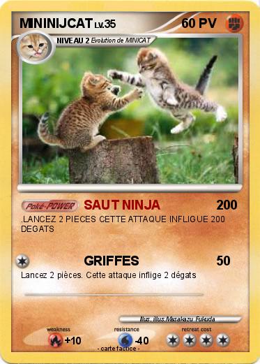 Pokemon MININIJCAT