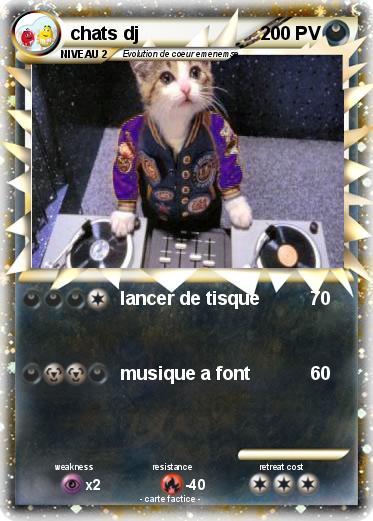 Pokemon chats dj