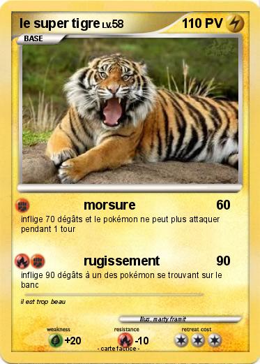 Pokemon le super tigre Pokemon le super tigre