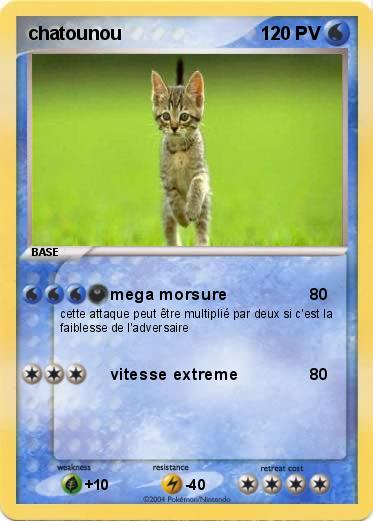 Pokemon chatounou