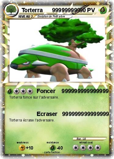 Pokemon Torterra      999999999