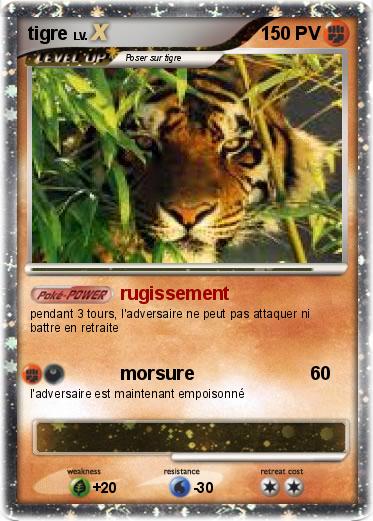 Pokemon tigre