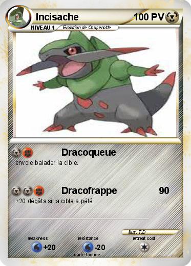 Pokemon Incisache