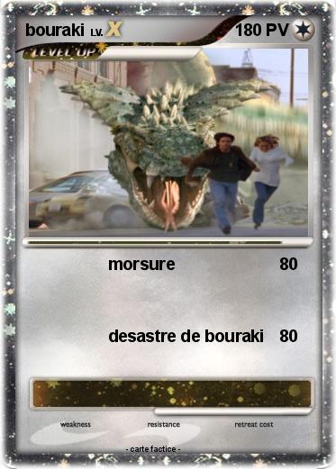 Pokemon bouraki