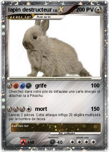 Pokemon lapin destructeur