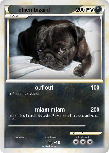 Pokemon chien bizard