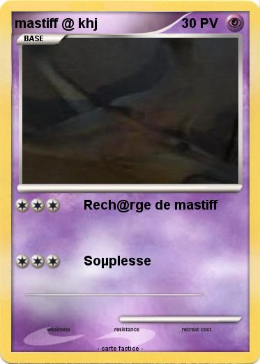 Pokemon mastiff @ khj