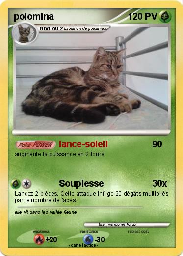 Pokemon polomina