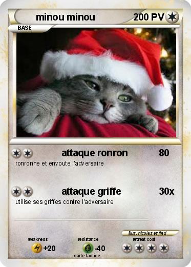 Pokemon minou minou
