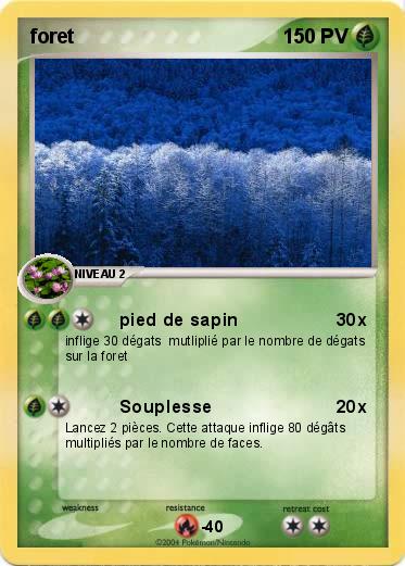 Pokemon foret