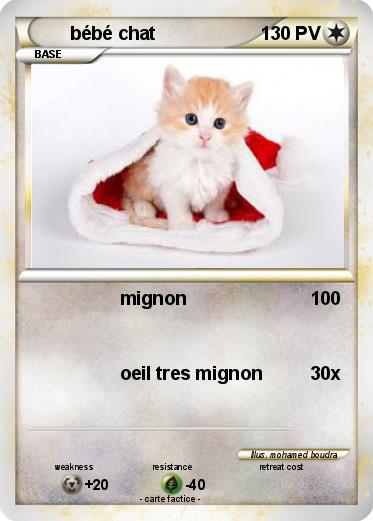 Pokemon bébé chat