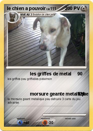 Pokemon le chien a pouvoir