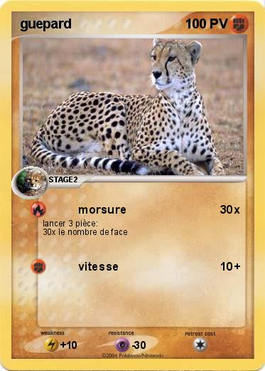 Pokemon guepard