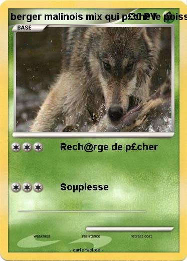Pokemon berger malinois mix qui p£che le poisson