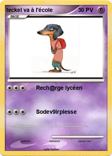 Pokemon teckel va à l'école