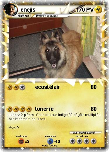 Pokemon enejis