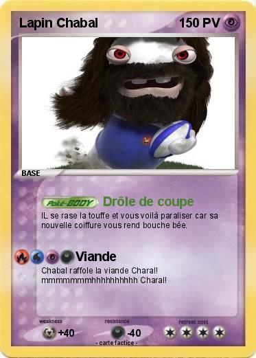 Pokemon Lapin Chabal