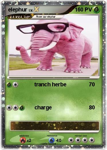 Pokemon elephur