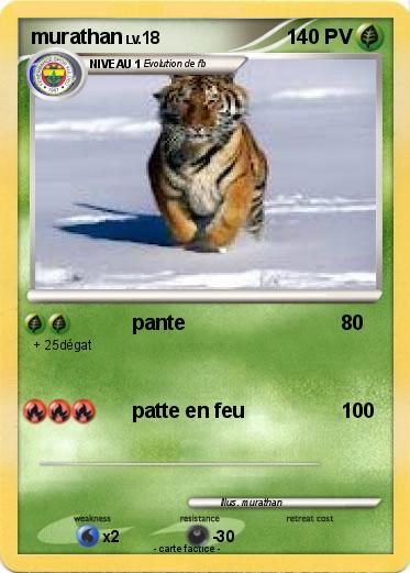 Pokemon murathan