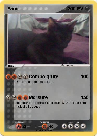 Pokemon Fang