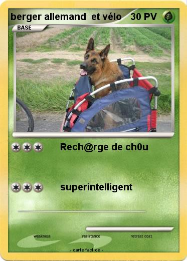 Pokemon berger allemand  et vélo