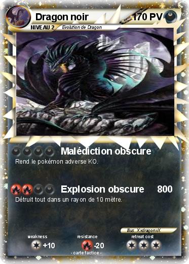 Pokemon Dragon noir
