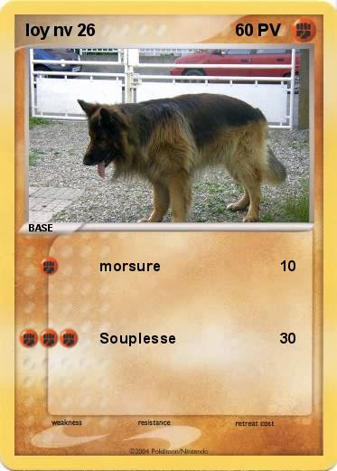 Pokemon loy nv 26