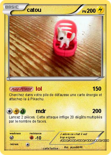 Pokemon catou