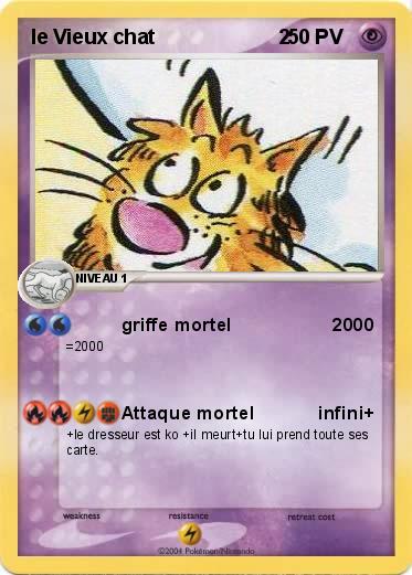 Pokemon le Vieux chat                      2