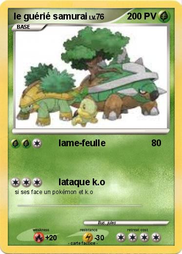 Pokemon le guérié samurai