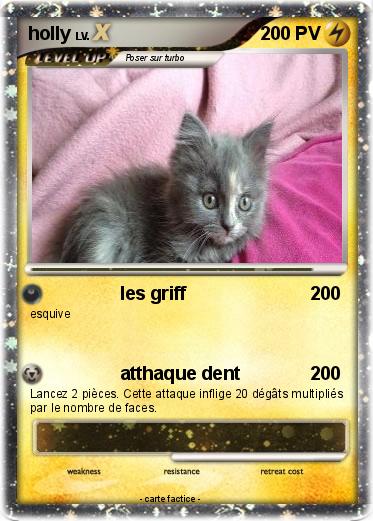Pokemon holly