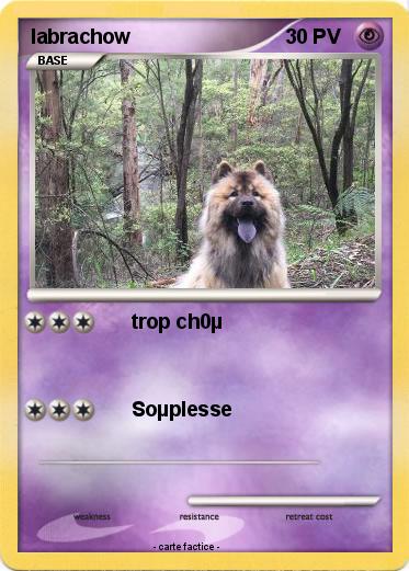Pokemon labrachow