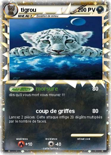 Pokemon tigrou
