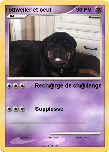 Pokemon rottweiler et oeuf