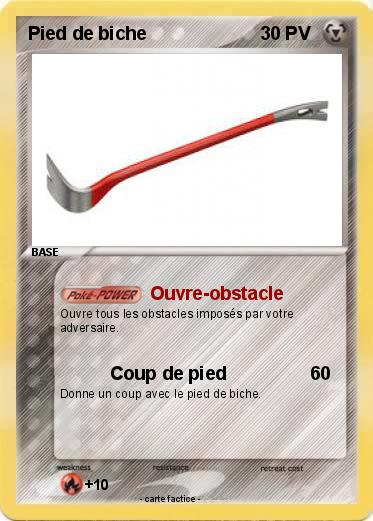 Pokemon Pied de biche