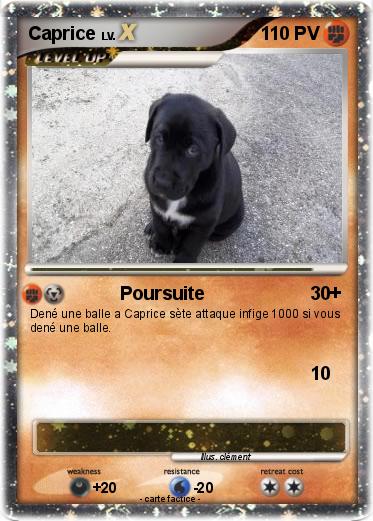 Pokemon Caprice