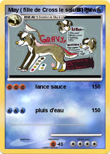 Pokemon May ( fille de Cross le saluki ) gdw