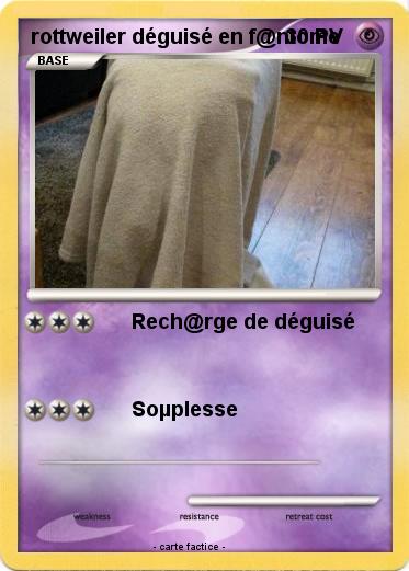 Pokemon rottweiler déguisé en f@ntôme