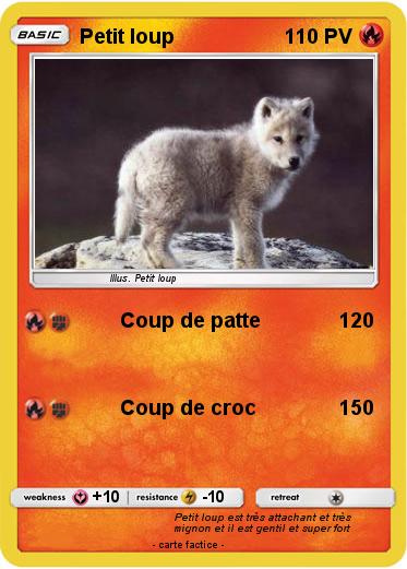 Pokemon Petit loup