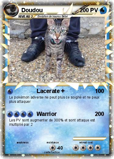 Pokemon Doudou