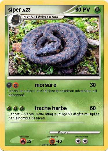 Pokemon siper